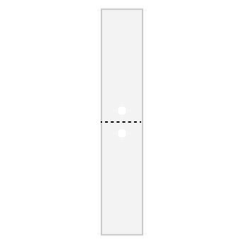 TD-003